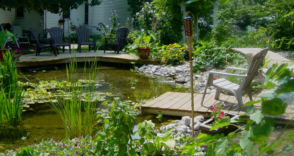 Relaxing by the Pond